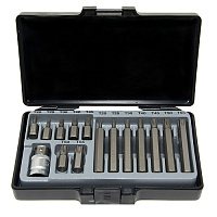 1/2" Набор бит Torx 10 мм 15 пр. (T20-T55) (4156)